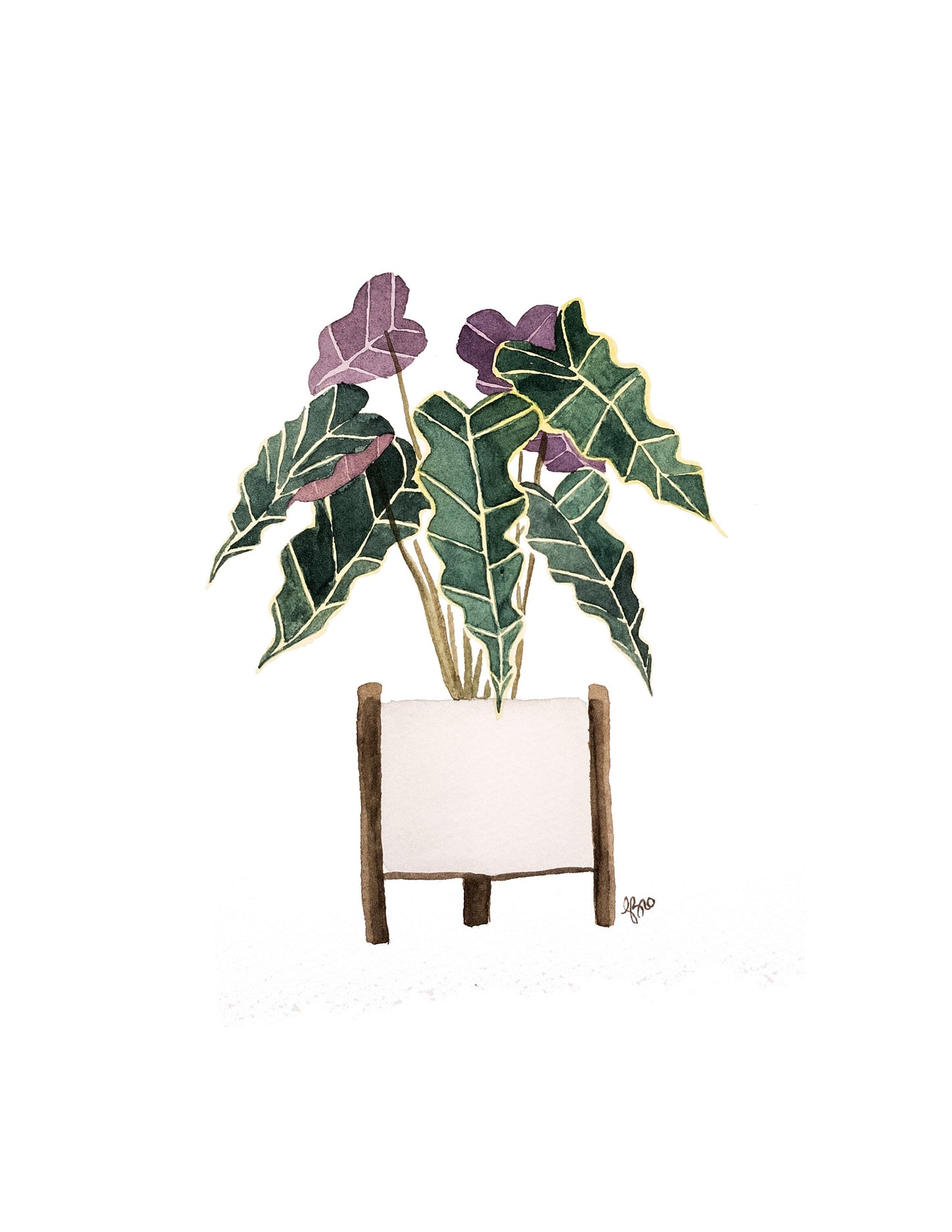 Affiche alocasia "Polly"