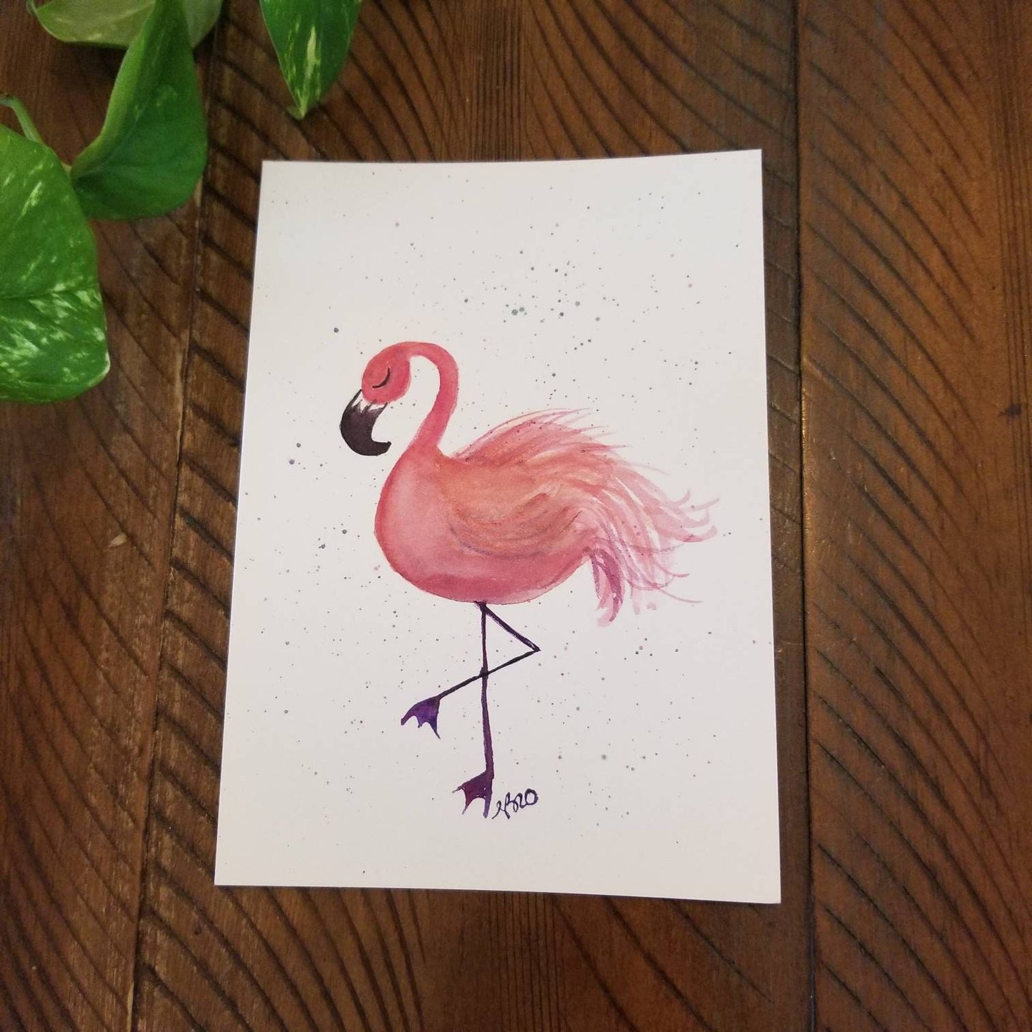 Flamand rose