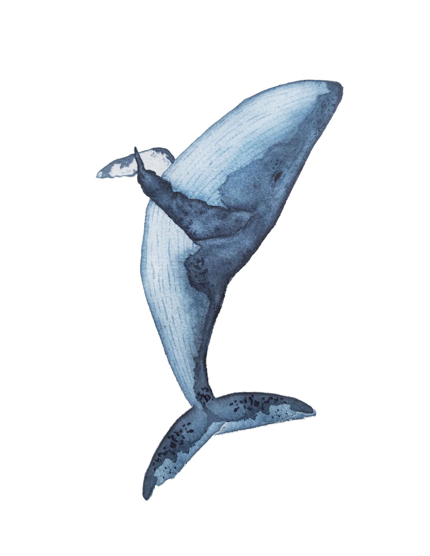 Trio d'affiches Bleu de mer