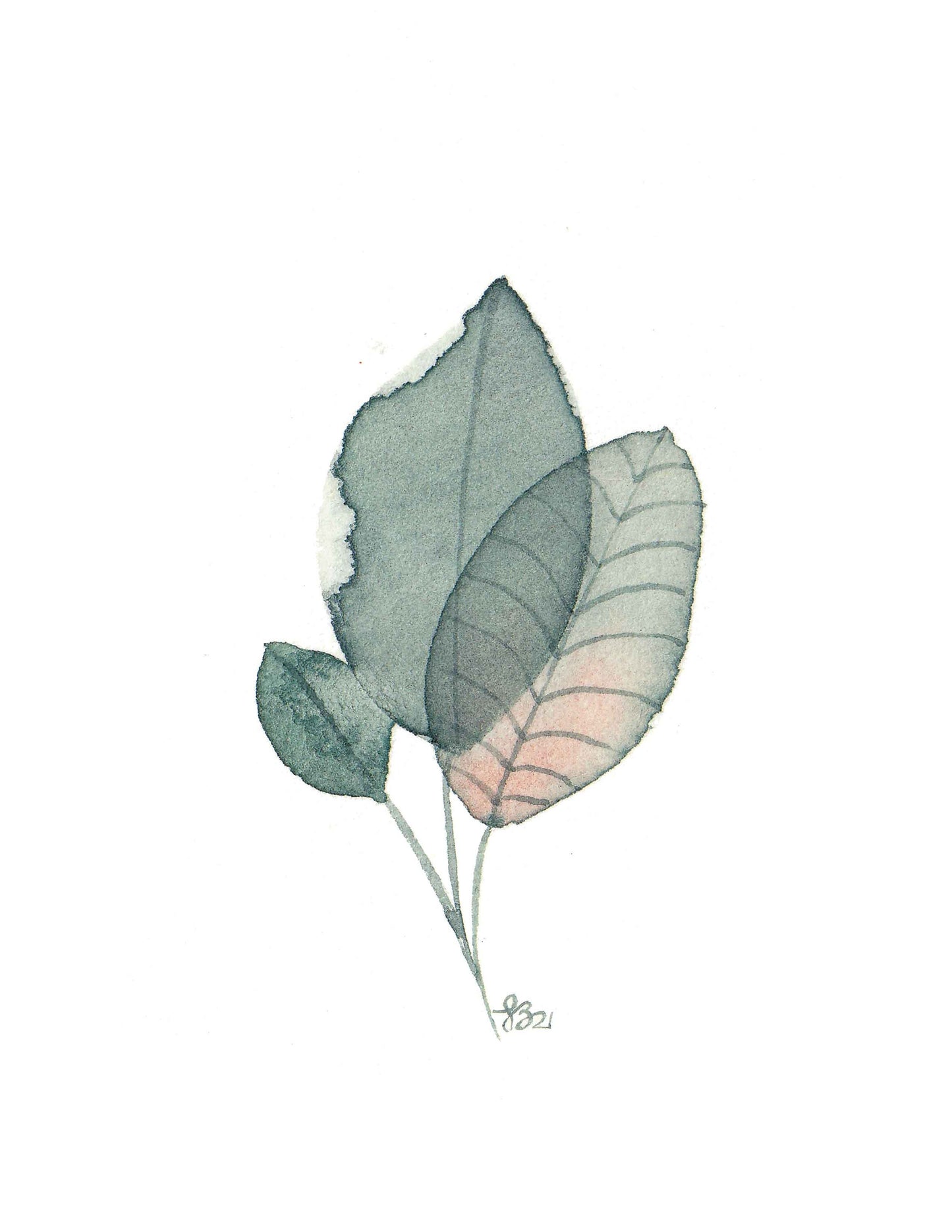 Trio d'affiches feuilles rosées