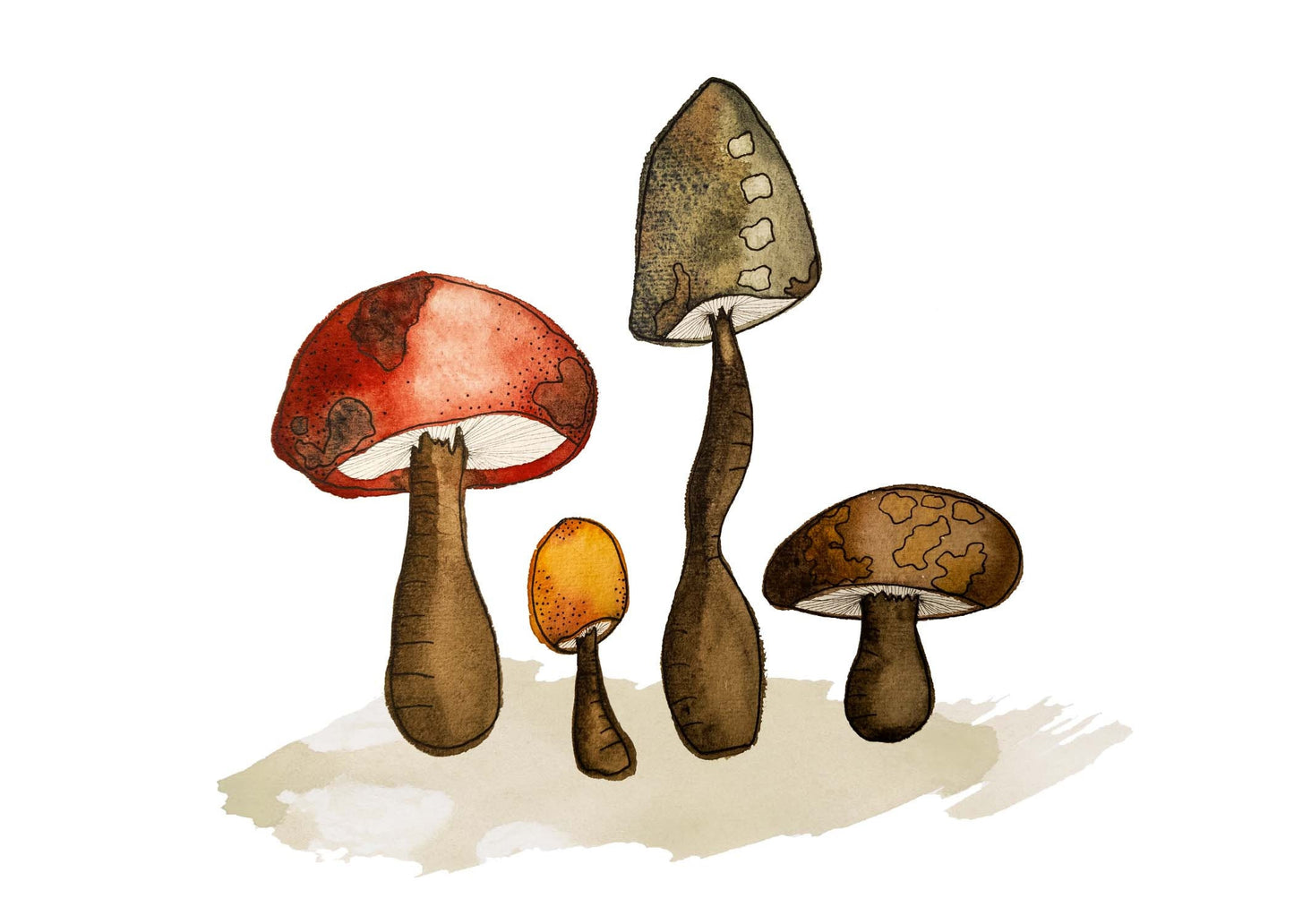 Carte de souhaits champignons