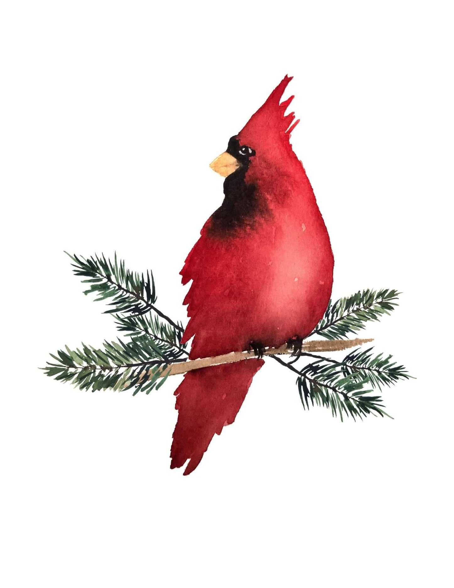 Affiche cardinal
