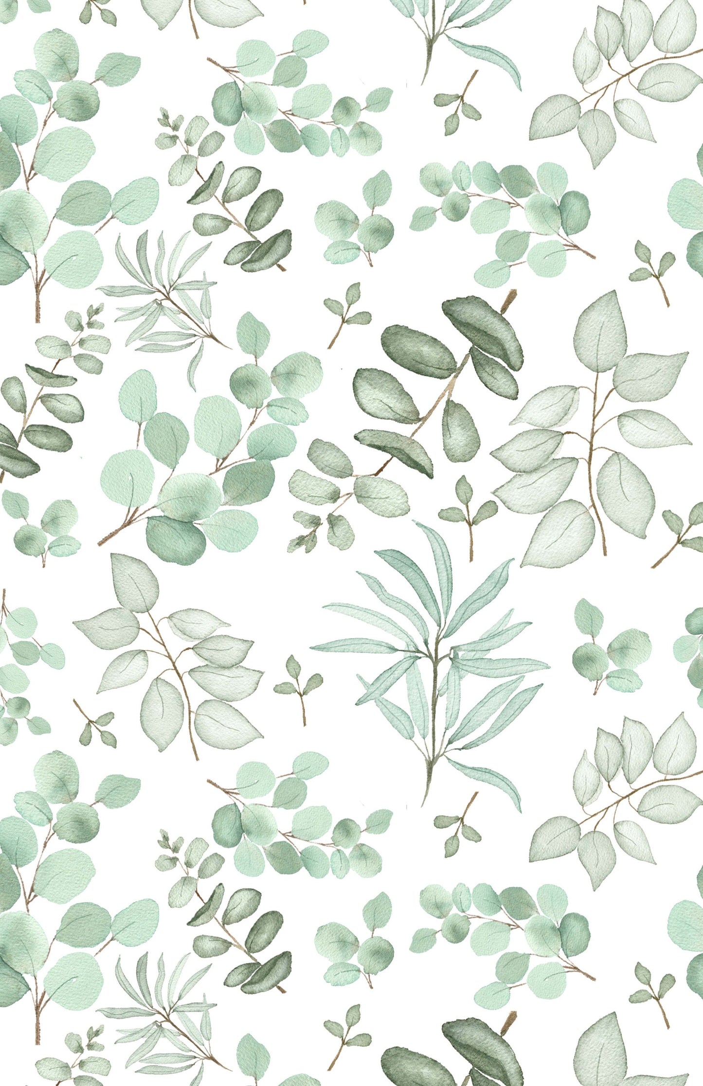 cahier de notes - eucalyptus