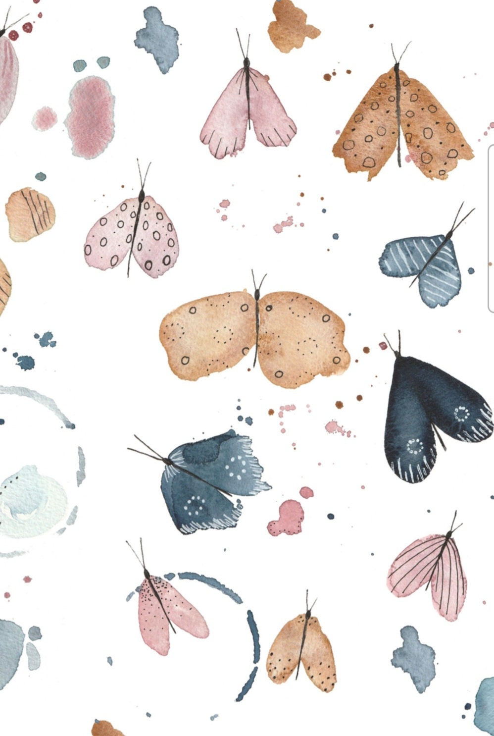 cahier de notes - papillons