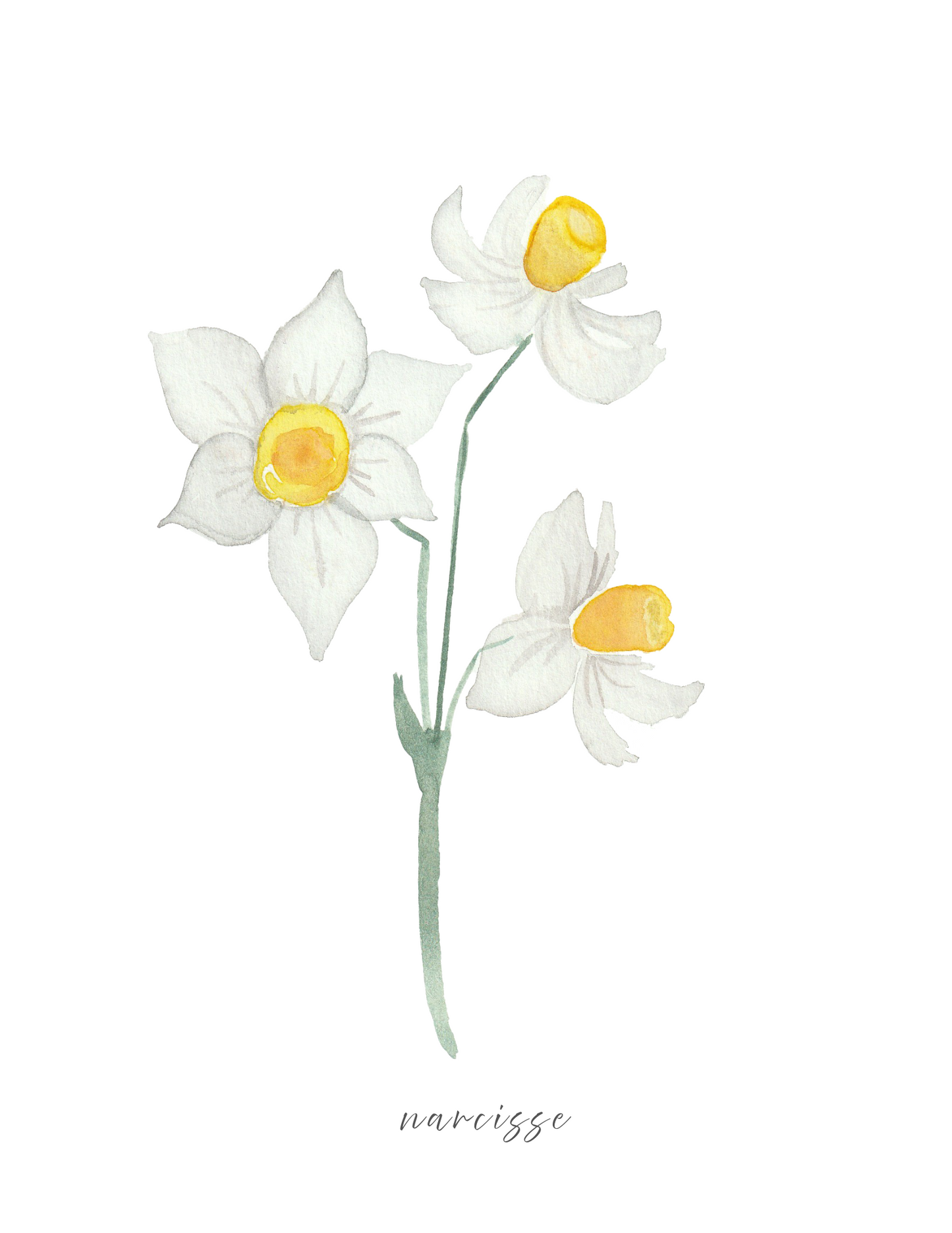 Calendrier 2026 fleurs de naissance