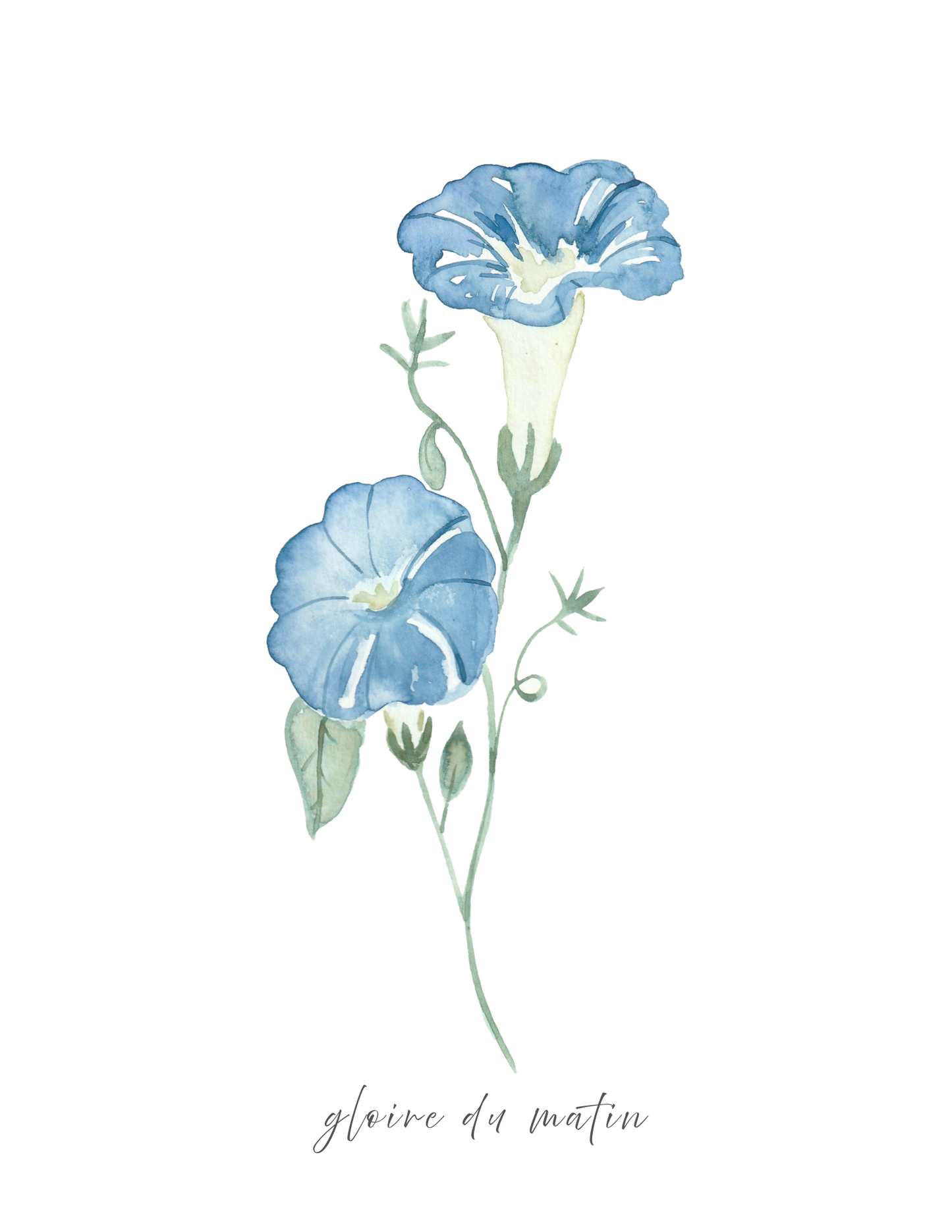 Calendrier 2026 fleurs de naissance